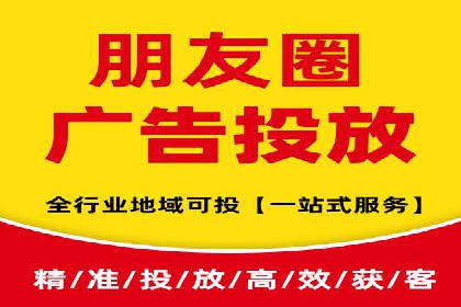 信息流广告的精准定位与效果优化案例分析
